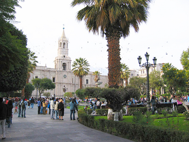 Central Arequipa with the Cathedral and the Palms