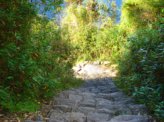 Rock Stairs of the Inca Trail