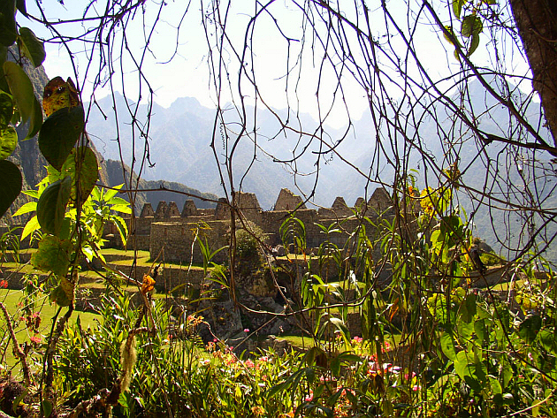 Machu Picchu Behind the Bushes
